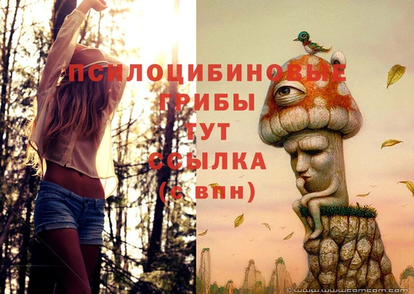 прущий лед Аркадак