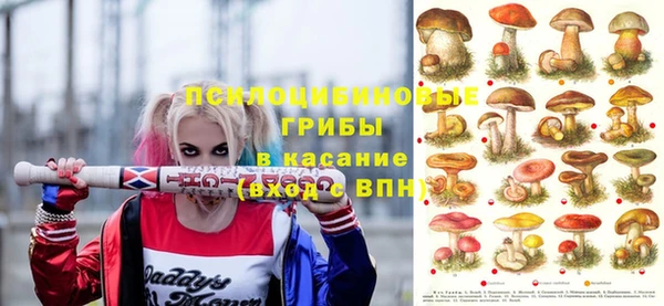 соль курить ск Алзамай