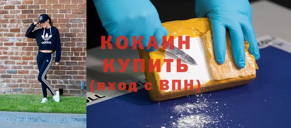 хмурый Алексин
