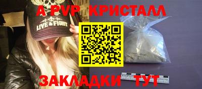 a pvp Гатчина