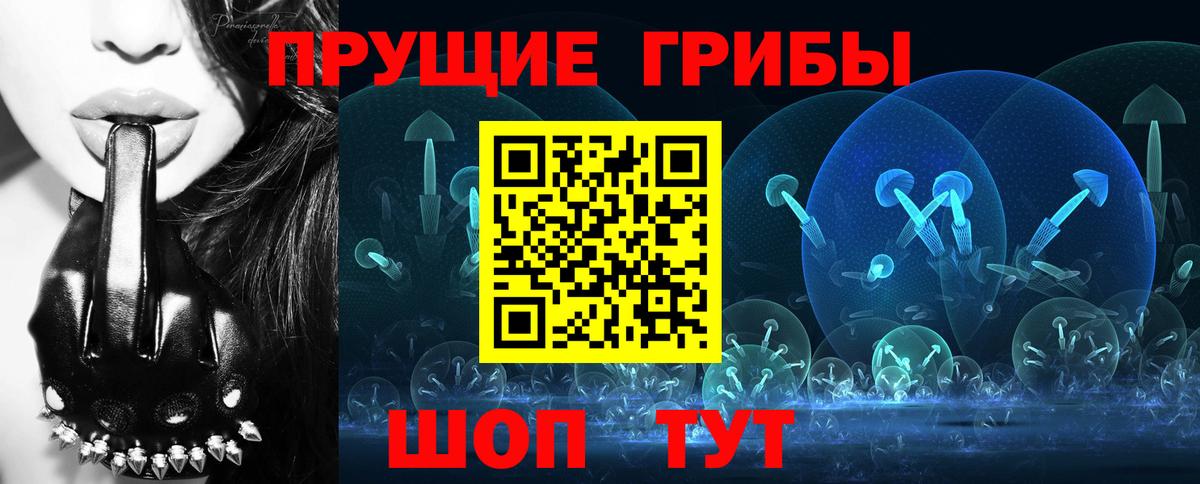 Псилоцибиновые грибы прущие грибы  Вход с VPN  Саров  Псилоцибиновые грибы GOLDEN TEACHER 