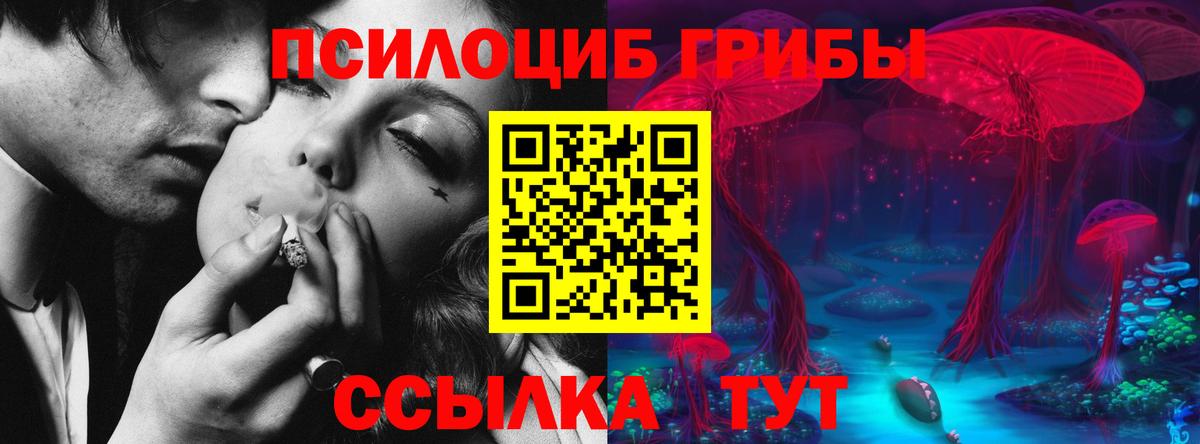 Псилоцибиновые грибы Psilocybine cubensis Саров